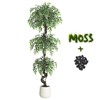 4FT/5FT/6FT Artificial Ficus Tree - White Ceramic-Look Planter with Pebbles - Indoor/Outdoor Decor - Lifelike Faux Tree for Home - 2 of 4