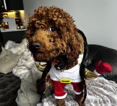 Guest review image 1 of 1, zoom in