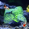 Unique Bargains Silicone Aquarium Simulation Coral Ornaments 2.36"x3.15" 1 Pc - 2 of 4