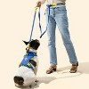 THE LICKER STORE Arlo Adjustable Soft Padded No Pull Pet Harness with 3 Buckles and 3 Leash Clips - 2 of 4