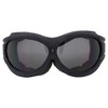 Birdz Eyewear Buzzard Safety Motorcycle Goggles with Smoke Lenses - 2 of 4