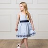 Hope & Henry Girls' Sleeveless Special Occasion Sun Dress with Bow Back Detail and Embroidery, Toddler - 2 of 4
