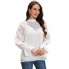 Coolmee Women Long Puff Sleeve Turtleneck Mesh Blouse Going Out Fall Party Night Elegant Tops Cute Women Trendy Blouse - 2 of 4