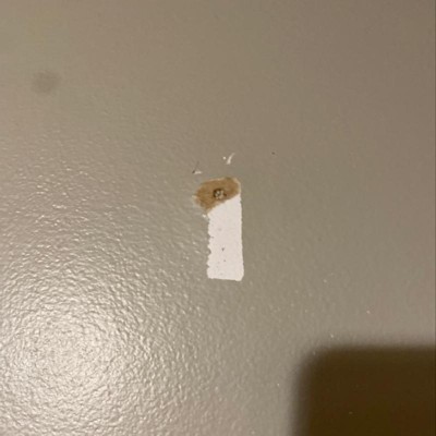 Guest review image 2 of 2, zoom in
