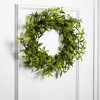 Sullivans Artificial Ruscus & Twig Wreath 22.5"H; Green - 3 of 3