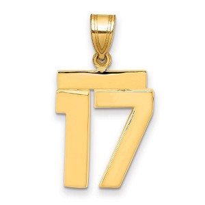 Black Bow Jewelry 14k Yellow Gold, Athletic Collection Medium Polished Number 17 Pendant - 1 of 3