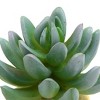 Unique Bargains Plastic Cactus Plant Terrarium Reptile Tank Habitat Decor for Reptiles Green - 4 of 4