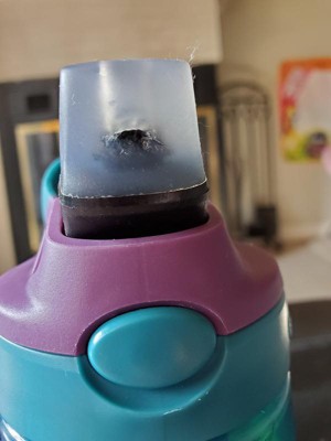 Contigo - Contigo, Kids - Water Bottle, +Straw, Autospout Cleanable.  Blueberry Green Apple, 14 Ounce, Shop
