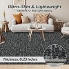 Coucheta Washable Area Rug , Modern Non-Slip Low Pile Indoor Carpet Machine Washable Soft Floor Mat for Living Room Bedroom Office,Multi-Color & Size - 4 of 4