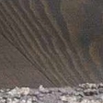 charcoal, beige, offwhite, mediumbrown