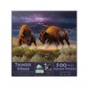 Sunsout Thunderstruck 500 pc   Jigsaw Puzzle 50110 - image 3 of 4