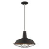 Livex Lighting Metal Shade 1 - Light Chandelier in  Black - 2 of 4