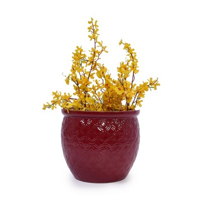 Dolonm Set of 3 Ceramic Planter Set with Drainage - Frost Resistant Planter for Indoor Use