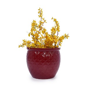 Dolonm Set of 3 Ceramic Planter Set with Drainage - Frost Resistant Planter for Indoor Use - 1 of 4