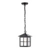 Penryn 7.25" Outdoor Pendant - PLT4031 - Oil Rub Bronze - Safavieh - 2 of 4