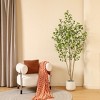 DR.Planzen 5-7FT Artificial Ficus Tree with Small Leaves in White Pot - Pre Potted Faux Tree for Indoor Home Decor - 2 of 4