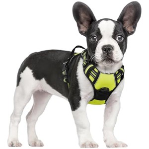 rabbitgoo Dog Harness No Pull with 2 Leash Clips, Control Handle for Small Dogs, Wild Lime,S - 1 of 1