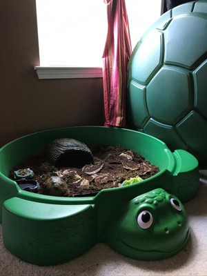 target turtle sandbox