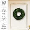 Nature Spring Boxwood Wreath - 16.5-Inch Round UV Resistant Artificial Spring, Summer, Fall, or Winter Wreath - Outdoor/Indoor Wreaths - 3 of 4