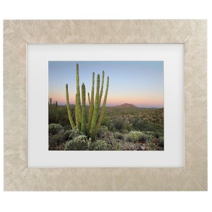 Trademark Fine Art - Alan Majchrowicz Organ Pipe Cactus at Dusk Matted Framed Art - 1 of 4