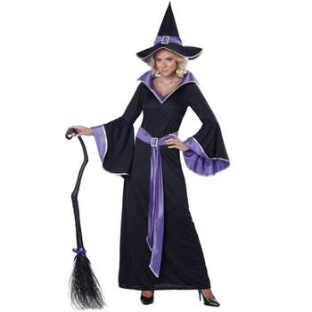 California Costumes Incantasia, The Glamour Adult Witch, Small