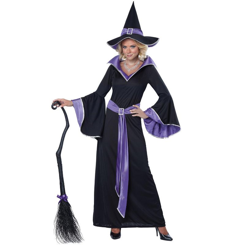 California Costumes Incantasia, The Glamour Witch Women's Costume, 1 of 2