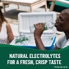 Poland Spring 100% Natural Spring Water (1.5 L Bottles) (Pack of 2) - 3 of 3