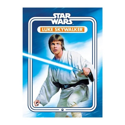 NMR Distribution Star Wars Luke Skywalker 2.5 x 3.5 Inch Flat Magnet