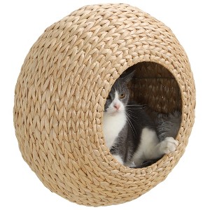PawHut Cat Wall Furniture, Wall Mounted Cat Condo with Washable Cushion, Cat Wall Shelf for Indoor Cats & Kittens, Natural Wood - 1 of 4