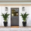 Planters Set of 2, Flower Pot Outdoor and Indoor, with 2 Trays and a Water Level Monitor and Wheels for Patio, Porch, Living Room,  Office - 3 of 4