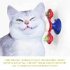 Cat Entertainment Set: Interactive Rotating Disk, Feather Teasers, Tumbler, Windmill Toy - Keeps Cats Active & Engaged - 2 of 4