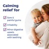 Camilia 30 doses Twin Pack by Boiron  -  2 x 30 liquid doses Liquid - 4 of 4