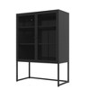 Modern Steel Storage Cabinet With Visible Doors, Accent Buffet Cabinet Sideboard With 2 Adjustable Shelves - 2 of 4