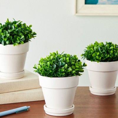 Mini Green Plastic Boxwood Topiary Centerpiece Set