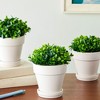 Juvale 3 Pack Mini Artificial Potted Fake Plants for Home Decor, Indoor Small Faux Topiaries for Room, Office Desk, Bathroom Greenery Decorations - 3 of 4
