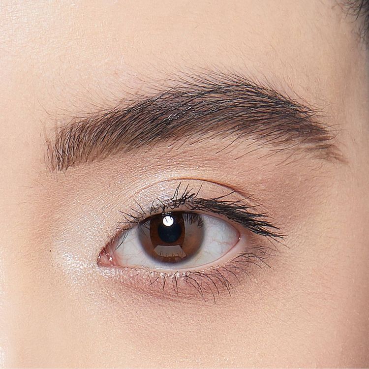 A close-up of an eye with well-defined eyebrows and natural makeup.