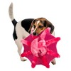FurHaven Pet Products Crinkle & Toss Plush Dog Toy - Vampire Squid - 2 of 3
