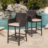 SKRAN Outdoor Wicker Bar Stools,Barstool Set with back and sides, Barstool with iron and aluminum Set of 2 for Patio, Garden, Outdoor(Multi Brown) - 2 of 4
