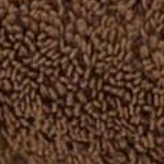 chocolate dark brown