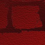 new england patriots