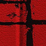 new england patriots