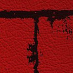 new england patriots