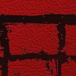 new england patriots