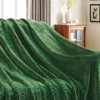 Inhand Flannel Throw Blanket, 50”x60” Super Soft Fuzzy Blanket for Couch Sofa Bed Office, Cozy Plush Lightweight Blanket Throw Size - 3 of 4