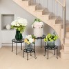 SEVOBAL 4 Pack Metal Plant Stand Planter Support Rack Plant Pot Stands Planter Holder Heavy Duty Rust Proof Iron Potted Plant Flower Pot Stand Patio - 2 of 4