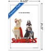 Trends International DC Comics Movie DC League of Super-Pets - Krypto and Ace Framed Wall Poster Prints - 3 of 4