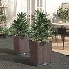 vidaXL Planters 2 pcs Brown 11.8"x11.8"x14.6" Polypropylene - 2 of 4