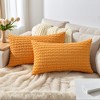 REGALWOVEN Corduroy Fade-Resistant Polyester Modern Square Throw Pillow Covers Set of 2 - 2 of 4