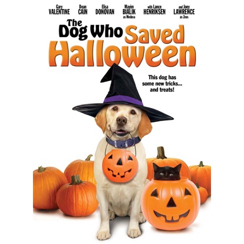 The Dog Who Saved Halloween (DVD) - image 1 of 1