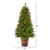 Nearly Natural 5-ft Colorado Aspen Pre-Lit Artificial Porch Christmas Tree with 200 LED lights - 2 of 4